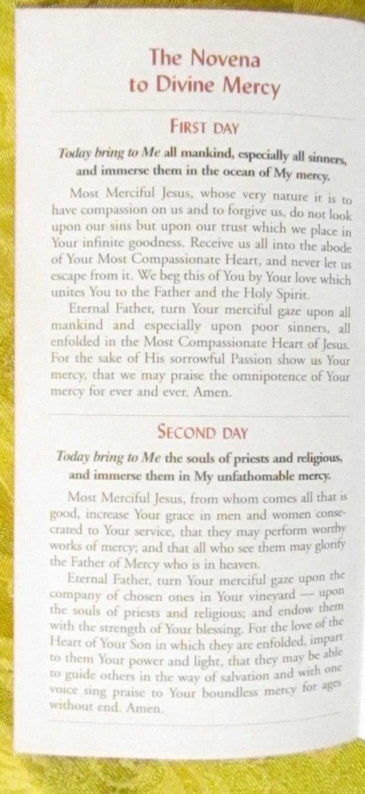 Divine Mercy Novena excerpt